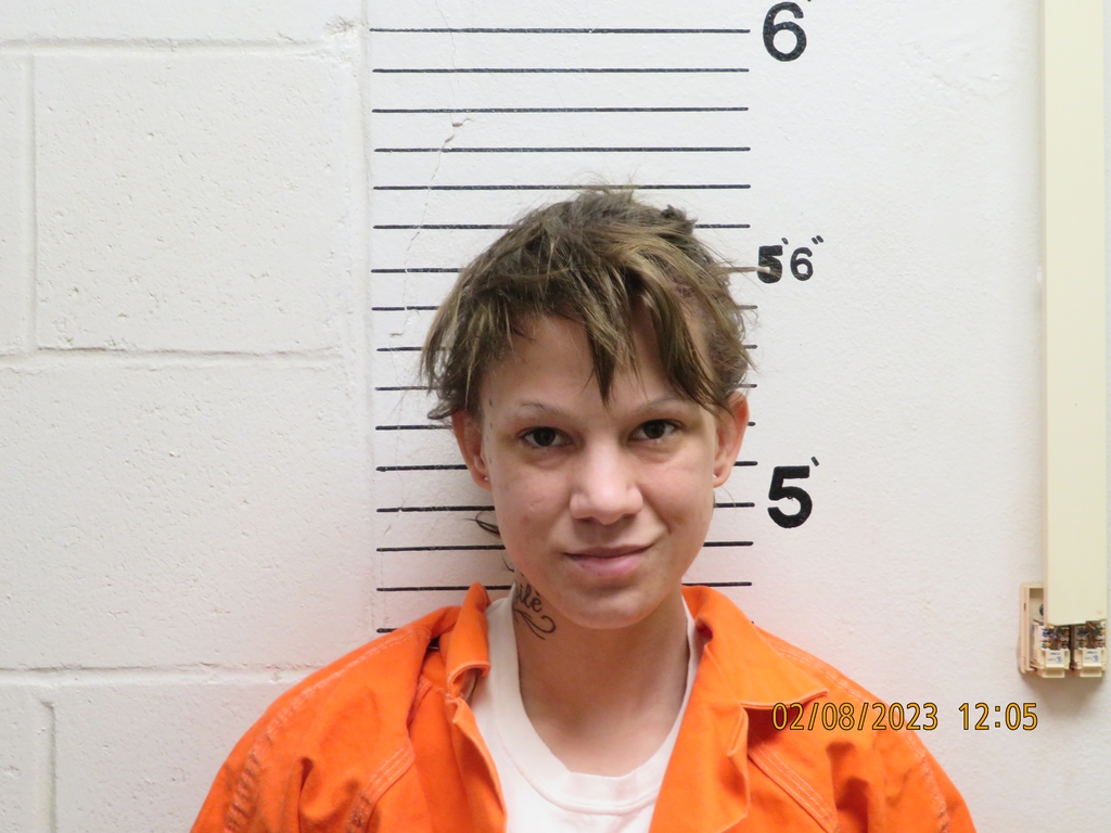 Official site for Norton County Kansas Inmates